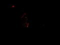 tight man, tyler woods, and big treal performing so sincurr