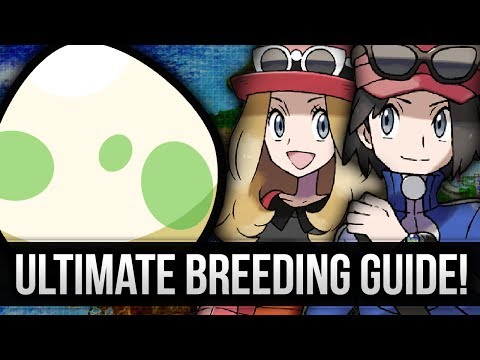 how to breed pokemon x