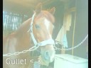 Julie and Hamlet