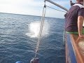 Whitsunday magic olympics