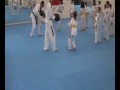 Taekwondo & Hapkido Vereinigung Z�rich (THVZ)