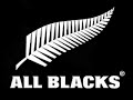 new zealand rugby football team all blacks the haka
