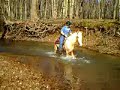 Michelle on Bandit