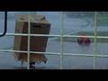  - MovieZen Video