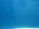 paseo en submarino 2