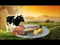 Food: A Project Envision Documentary