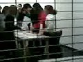 Le amiche della Zecca- La fabbrica Le amiche della Zecca- La fabbrica