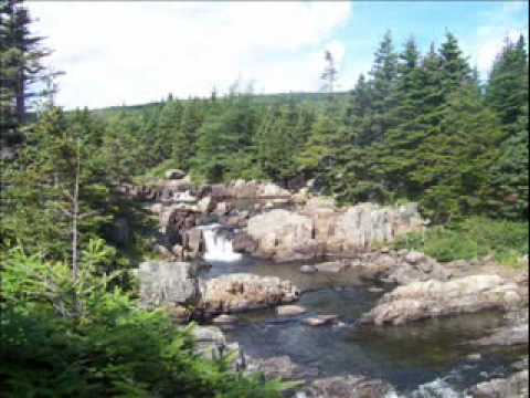 Scenic Newfoundland