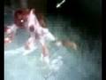 videos de knight vs majin bu(second episod)