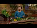 Trisha stores herbs: Central Texas Gardener