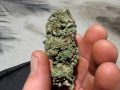 OG KUSH BUDS DIRECT FROM NOR CAL... A LITTLE BIT OF INFORMATION IN REGARDS TO THE SUBJECT IN HAND... THANKS FOR WATCHING... THOMAS