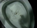 Alitre Water efficient test1