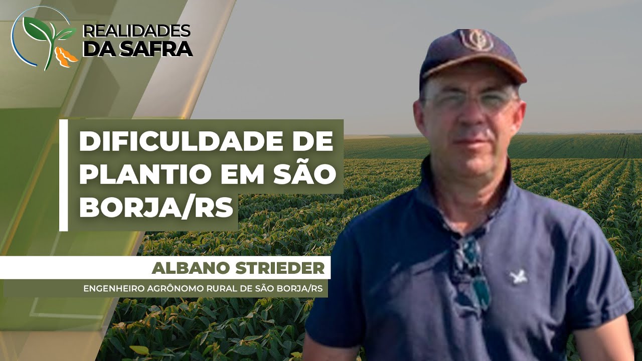 Chuvas irregulares dificultam plantio da soja em São Borja/RS