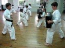 Torakan Tiny Tigers - Mae Geri (Front Kick)