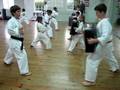 Torakan Tiny Tigers - Mae Geri (Front Kick)