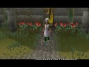 RE:[Runescape] Ubnub Video Challenge - Win Teh Prize!
