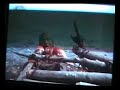 Alejo Guashinango - \"El Naufrago\" (Wilson)