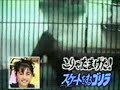 Philippe Candeloro en Prison au Japon ?
