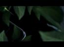 Sony Ericsson S500 Demo Video