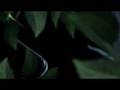Sony Ericsson S500 Demo Video