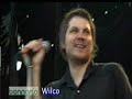 Wilco - Hummingbird @ Bonnaroo
