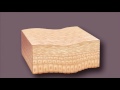 Scaly Skin Condition-Mayo Clinic