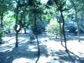videos de Caminando por el Jardín Botánico 2