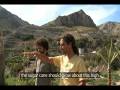 videos de The Earth Punk Chronicles Vol 1