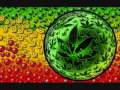 cannabis 4:20