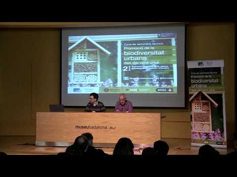 Biodiversitat urbana des del verd