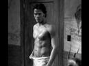..cute Jared Padalecki... misery