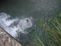 pulando da cahoeira