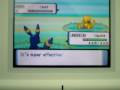 videos de Shiny Abra caught after chain of 40