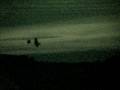Vickers Gunbus dawn patrol #1