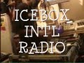 ICEBOX INTL RADIO -MAY 2008 MIX - PART 5 (REGGAE)