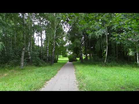 Барановичи день за днем. 19.07.22.