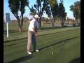 Tiger Woods Doral