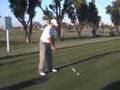 Tiger Woods Doral