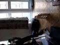 videos de jumbling tower blocks 2