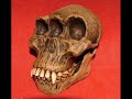 5. Esqueletos Extra�os II - Fenomenos Paranormales II