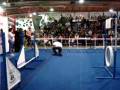 videos de Mily.wmv