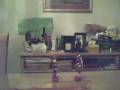 videos de my first stop animation