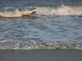 Ocean Waves at Myrtle Beach