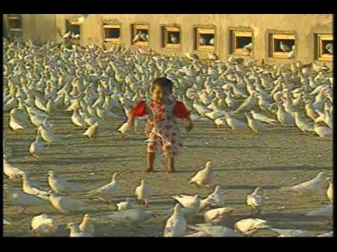 See video