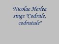 Nicolae-Herlea-Codru