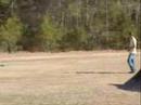 fun RC bashing