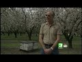Beekeepers Stung By Hive Heists Beekeepers Stung By Hive Heists