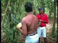 GUYANA JUNGLE ADVENTURE PART 5 GUYANA JUNGLE ADVENTURE PART 5
