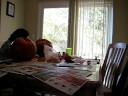 Carving pumpkins