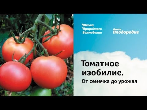 YouTube Трейлер